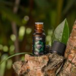 NUF0142 ACEITE ESENCIAL DE EUCALIPTO (Eucalyptus radiata) 11ML