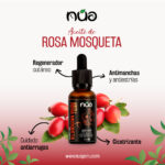 Rosa Mosqueta 1