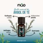 A╠üRBOL DE TE╠ü 1