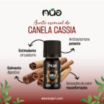 CANELA CASSIA 1