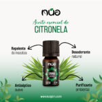 CITRONELA 1