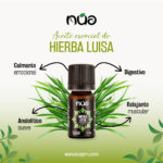 HIERBA LUISA 1