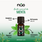 MENTA 1