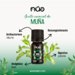 MUN╠âA 1