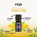 YLANG YLANG 1