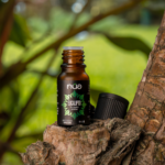 EUCALIPTO GLOBULUS 1