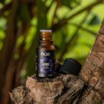 LAVANDA ANGUSTIFOLIA 1