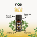 NUF0242 ABSOLUTO DE BENJUI╠ü 11ML