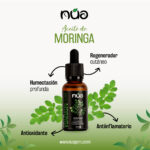 Moringa 1