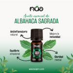 ALBAHACA SAGRADA 1