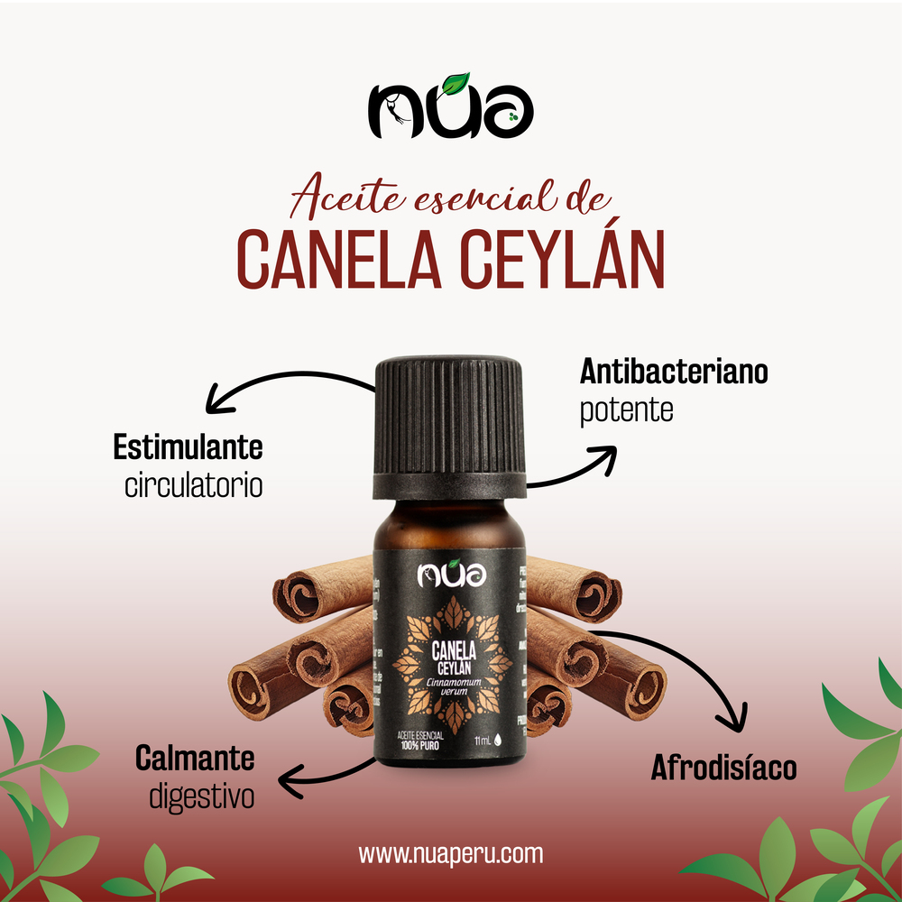 Aceite esencial de canela ceyla╠ün