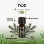 CEDRO 1