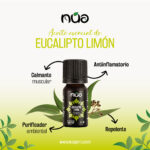 EUCALIPTO LIMO╠üN 1