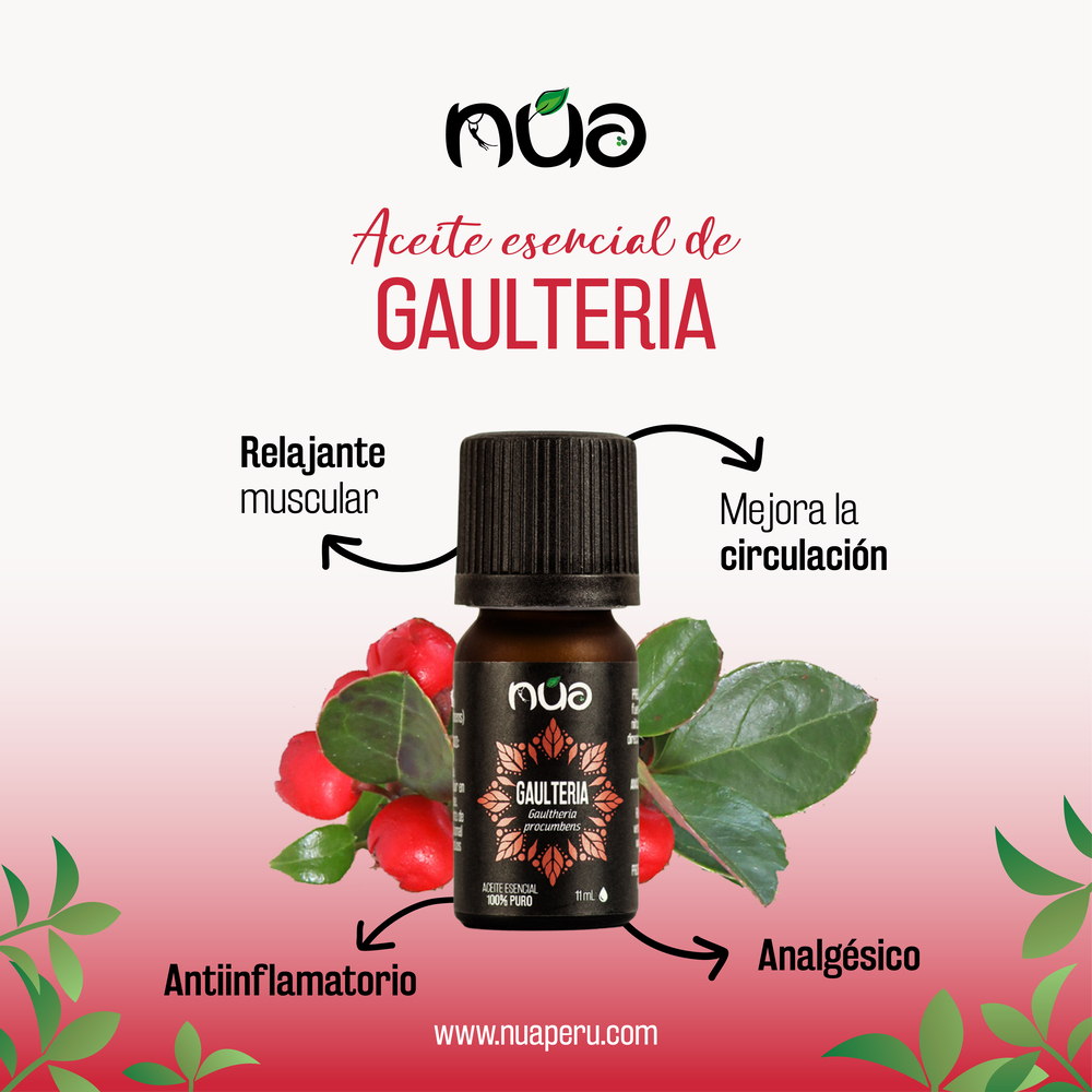 Aceite esencial de gaulteria