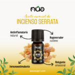 INCIENSO DE LA INDIA 1
