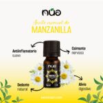 MANZANILLA 1